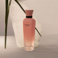 Terracota Musk  120ml-200629 Terracota Musk  120ml-200629 2